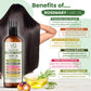 Vital affair Rosemary Hair oil blend benefits