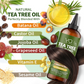 Tea tree oil hair oil blend with ingredients and benefits on a white background