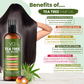 Tea tree oil hair oil bottle with benefits listed on a white background