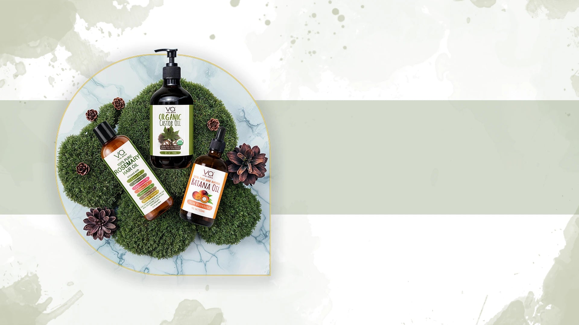 Collection of Vital Affair hair oil in a green surface banner 